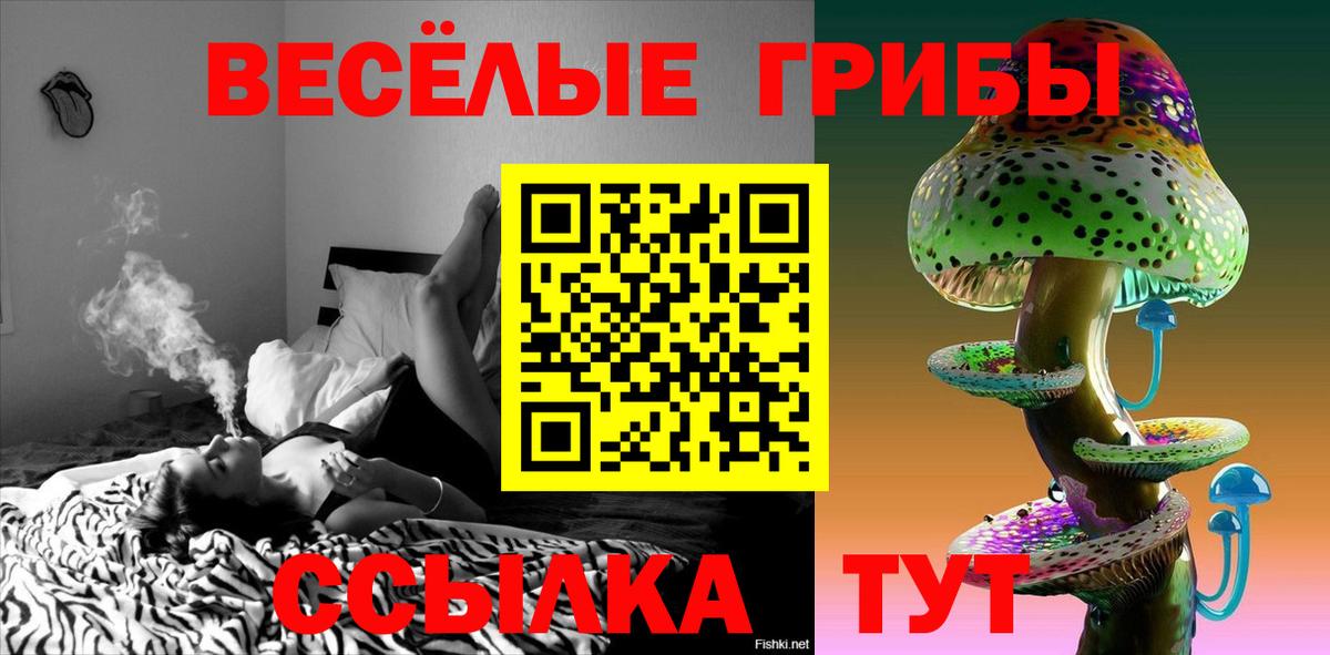 Псилоцибиновые грибы GOLDEN TEACHER Верхняя Салда